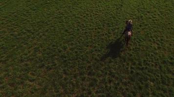 Aerial view of woman riding horse in field video