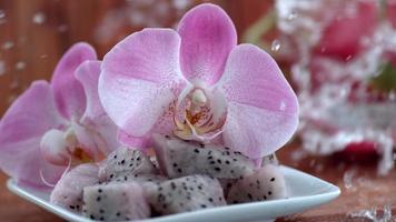 Dragon fruit and orchid , slow motion, shot on Phantom Flex 4K