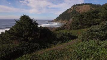 Toma aérea de la costa de Oregon, Seal Rock video
