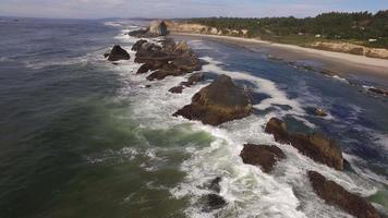 flygfoto av Oregon kusten, säl rock video