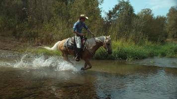 Woman riding horse through creek in slow motion video