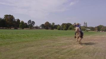 mujer, montar a caballo, en, cámara lenta video