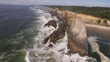 luchtfoto van de kust van Oregon, zeehondenrots video