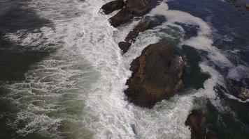 luchtfoto van de kust van Oregon, zeehondenrots video