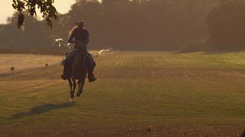 femme équitation en super ralenti, tourné sur le fantôme flex 4k à 1000fps video