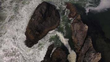 Aerial shot of Oregon coast, Seal Rock video