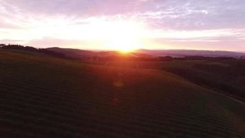Aerial view of vineyard, Willamette Valley Oregon video