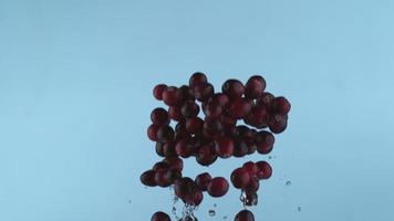 Fresh cranberries in slow motion, shot with Phantom Flex 4K at 1000 frames per second video