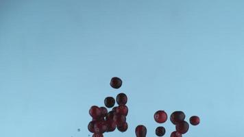 Fresh cranberries in slow motion, shot with Phantom Flex 4K at 1000 frames per second video