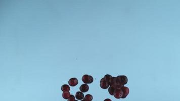 cranberries frescas em câmera lenta, filmadas com phantom flex 4k a 1000 quadros por segundo video