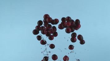 Fresh cranberries in slow motion, shot with Phantom Flex 4K at 1000 frames per second