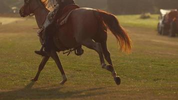 donna a cavallo in super slow motion, ripresa con il flex phantom 4k a 1000 fps video