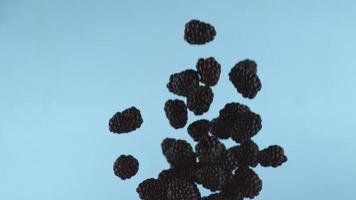 Blackberries in slow motion, shot with Phantom Flex 4K at 1000 frames per second video