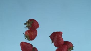 Erdbeeren fliegen in Zeitlupe, aufgenommen mit Phantom Flex 4k bei 1000 Bildern pro Sekunde video