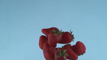 fraises volant au ralenti, prises avec un flex fantôme 4k à 1000 images par seconde video