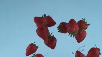 aardbeien vliegen in slow motion, geschoten met phantom flex 4k met 1000 frames per seconde video
