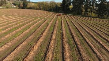 Aerial view of tractor on farm driving down rows video