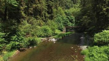 Flying over a creek with bridge, Oregon, USA video