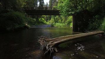 Flying over a creek with bridge, Oregon, USA video