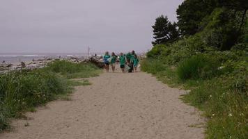 Group of volunteers cleaning up beach video