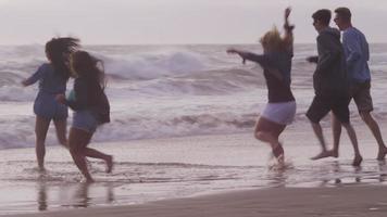 gruppo di amici in spiaggia che corrono insieme video