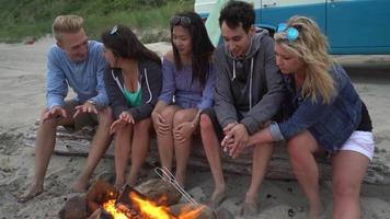 Group of friends at beach hanging out by campfire
