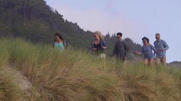 groep vrienden op het strand rennend over een met gras begroeid pad video
