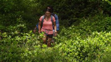 couple en randonnée à travers la forêt video