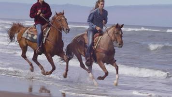 Frauen reiten Pferde am Strand in Zeitlupe video