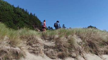 Couple en randonnée sur le sentier des dunes de sable herbeux video