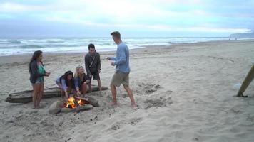 groupe d'amis à la plage à traîner près d'un feu de camp video