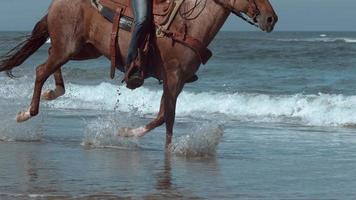 Super Slow-Motion-Aufnahme von Frauen, die am Strand, Oregon, Pferde reiten, aufgenommen auf Phantom Flex 4k video