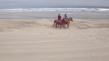 luchtfoto van vrouwen die paarden berijden op het strand video