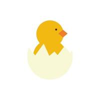 cute little chick in eggshell spring flat style vector