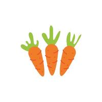 fresh carrots vegetables flat style vector
