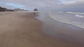 luchtfoto van vrouwen die paarden berijden op het strand video