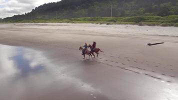 luchtfoto van vrouwen die paarden berijden op het strand video