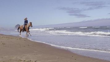Frauen reiten Pferde am Strand in Zeitlupe video