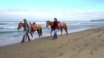 Women walking with horses at beach video