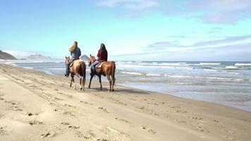 Frauen reiten Pferde am Strand horses video