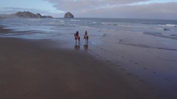 Aerial view of women riding horses at beach video