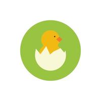 cute little chick in eggshell spring block and flat style vector