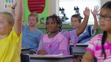 Students raise hands in school classroom video