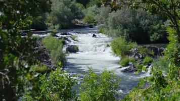 Scenic shot of white water rapids, Rouge River, Oregon, USA video