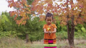 Young girl in Fall throwing leaves video