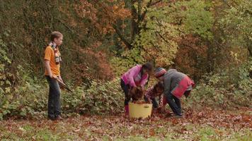 Group of kids in Fall raking leaves video