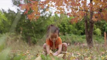 niña en otoño recogiendo y tirando hojas video