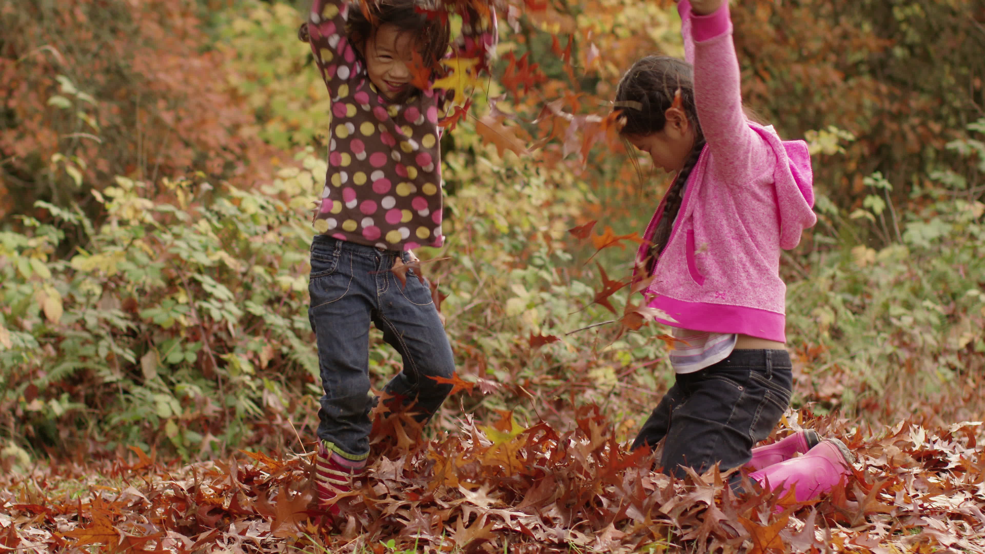 Two young girls in Fall throwing pile of leaves 2570646 Stock Video at