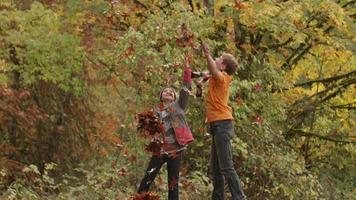 twee jongens in de herfst die bladeren gooien in slow motion video