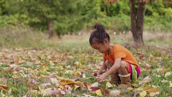 jong meisje in de herfst bladeren oppakken video